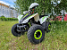 PROMAX SPORT - PRO 180 (2025)